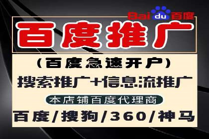 某品牌通过SEM竞价代运营公司实现品牌飞跃的历程
